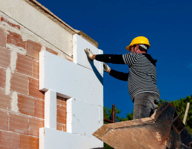 Best Types of Insulation in Capitol View, SC