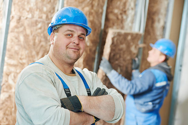 Best Commercial Insulation in Capitol View, SC