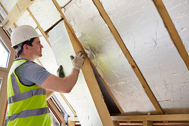 Best Energy Efficiency Solutions in Capitol View, SC